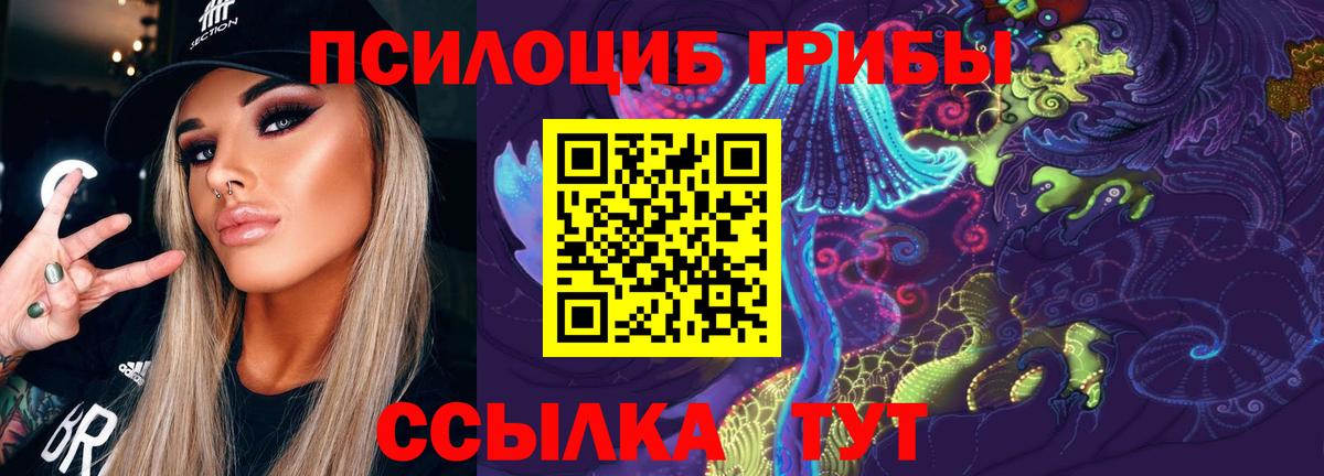Псилоцибиновые грибы Cubensis Ижевск