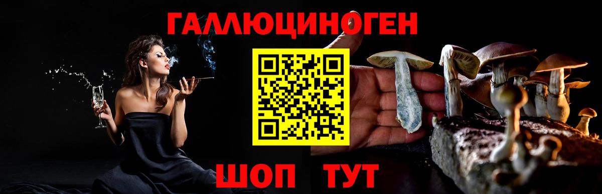 Псилоцибиновые грибы мицелий  Псилоцибиновые грибы MAGIC MUSHROOMS  Ижевск  Вход с VPN 
